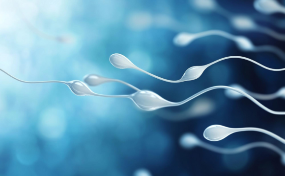Male Infertility